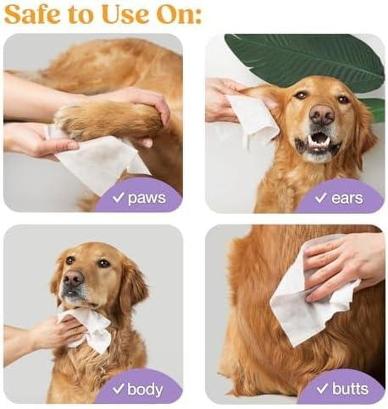 Wipemate Lavender XL Pet Wipes for Medium to Large Dogs & Cats, No-Rinse Solution, Hypoallergenic, Gentle, Deodorizing - Pet Wipes for Cleans Paws, Ears, Fur, Butt, & Anal Glands (100 Count)