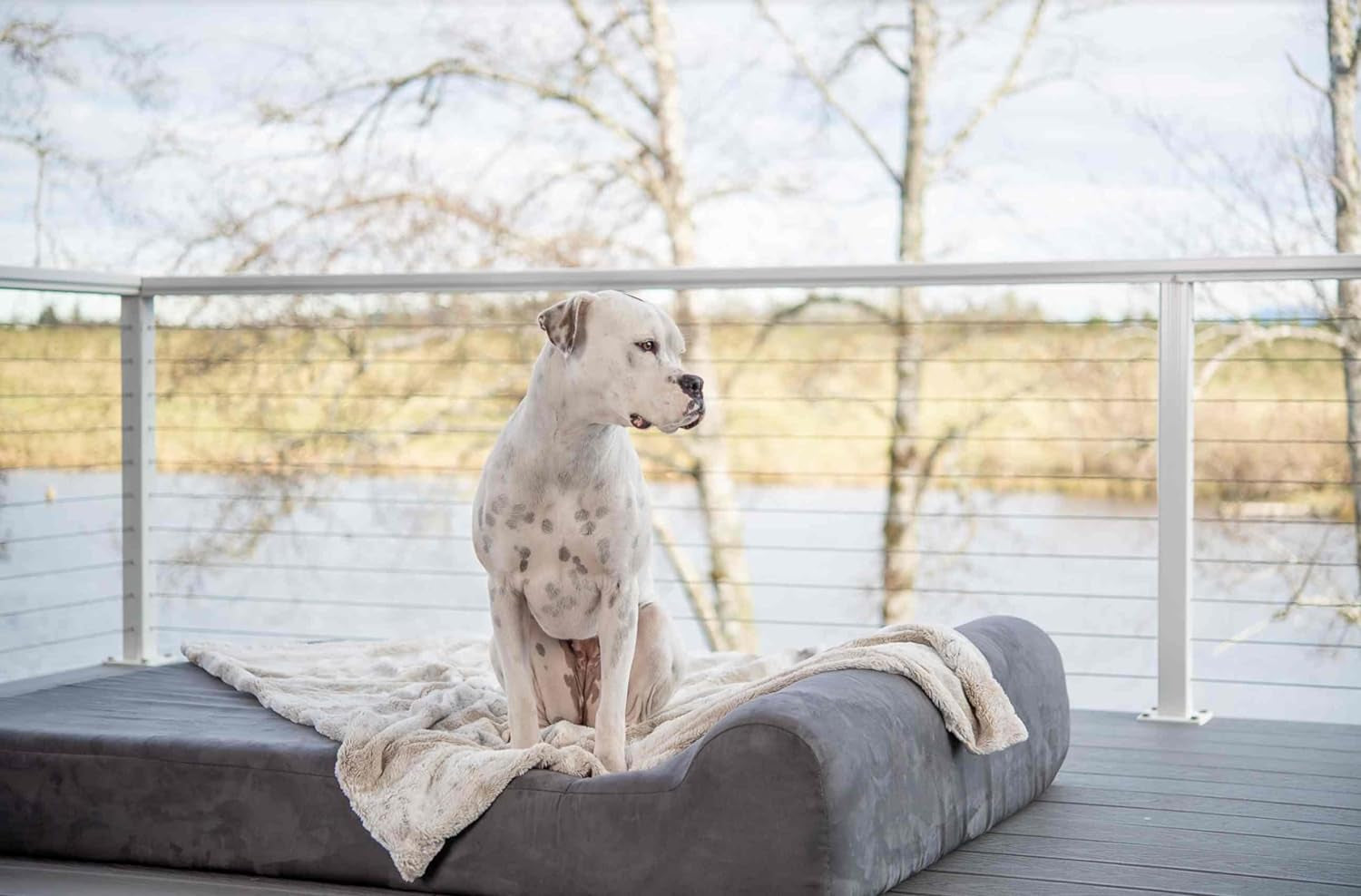 Orthopedic Dog Bed W/Headrest - 7” Dog Bed for Large Dogs W/Washable Microsuede Cover