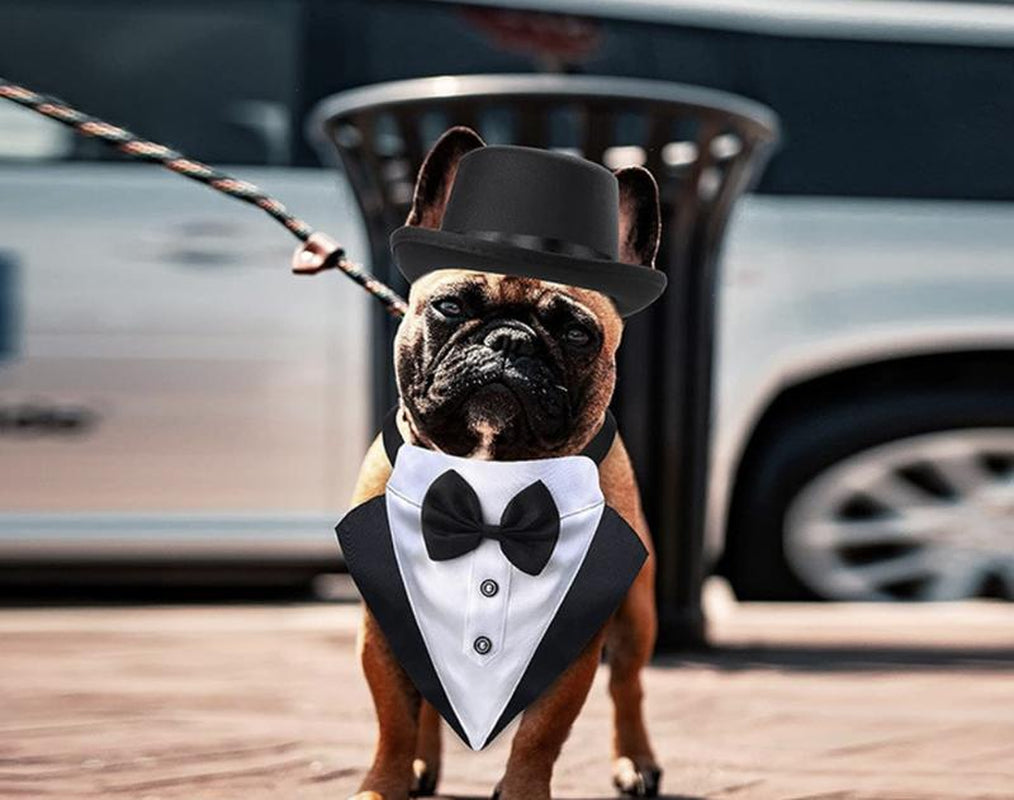 Pet Tuxedo Costume with Bow Tie & Hat – Formal Suit for Dogs & Cats – Wedding, Party & Special Occasions