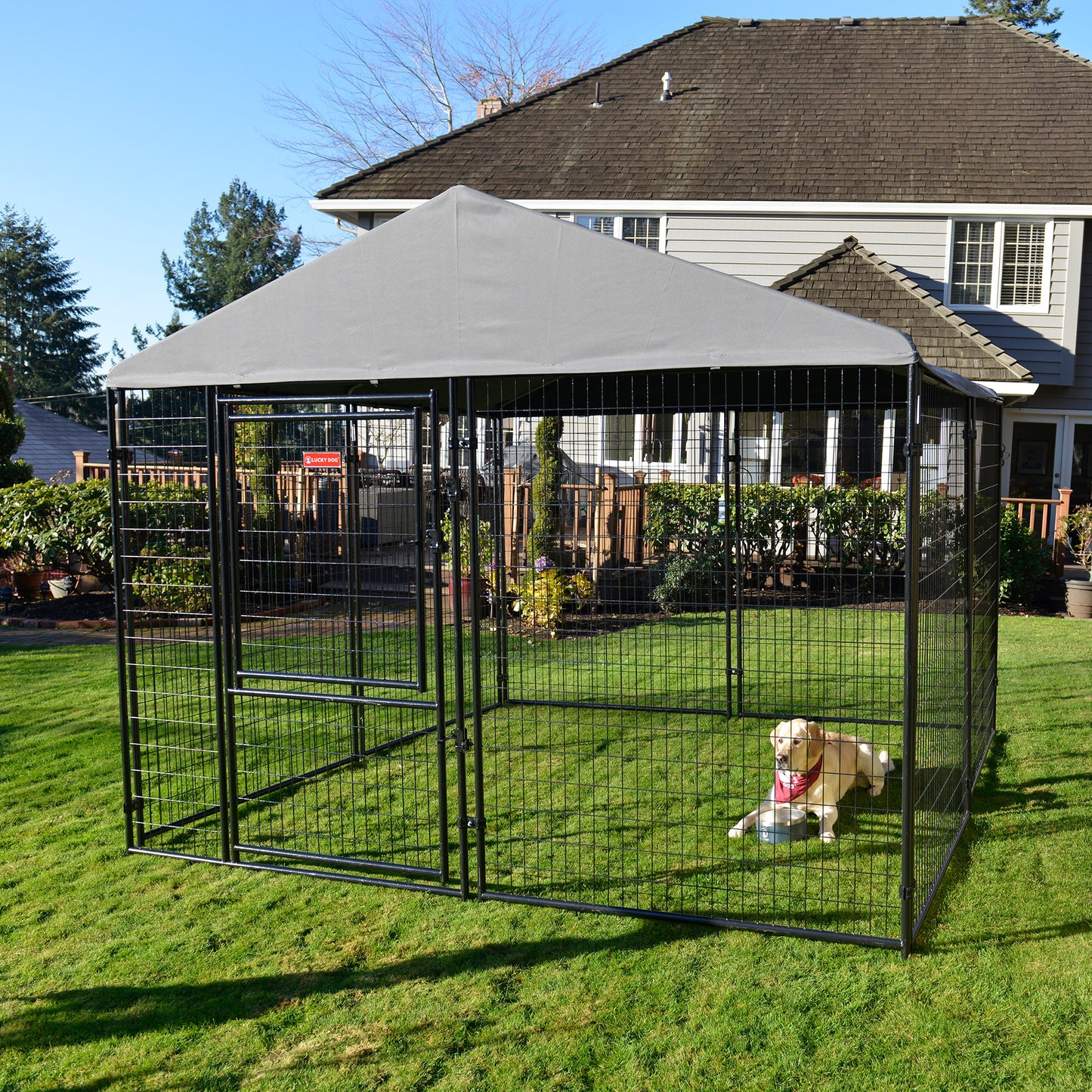 STAY Series Presidential Dog Kennel 10'X10' with Privacy Screen