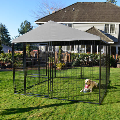 STAY Series Presidential Dog Kennel 10'X10' with Privacy Screen