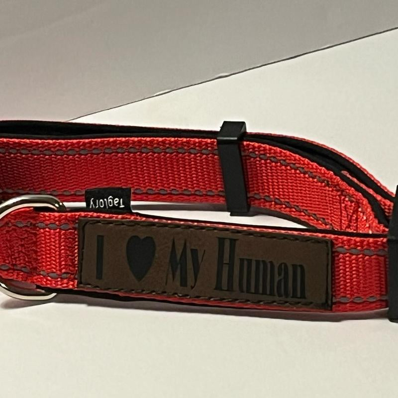 I Love My Human Leather Patch Custom Dog Collar