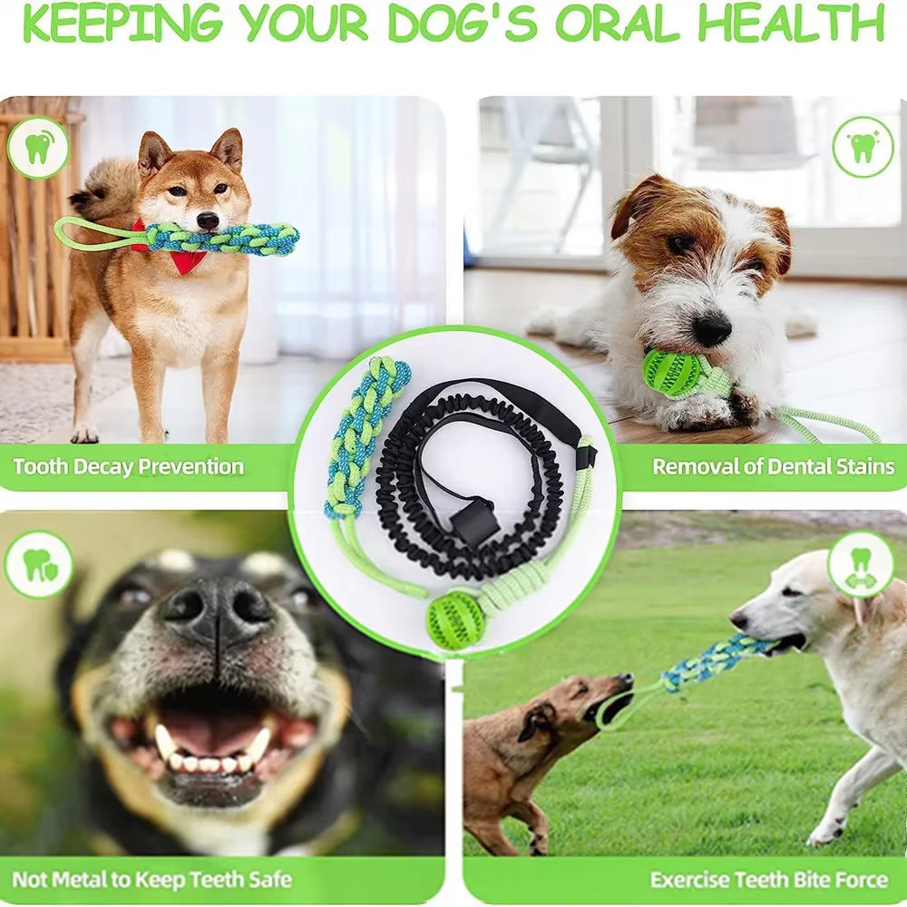 Interactive Dog Toy Tug of War Spring Rope Dogs Outdoor and Indoor Hanging Pull Rope Ball Puppy Molar Teeth Cleaning Chew Toys