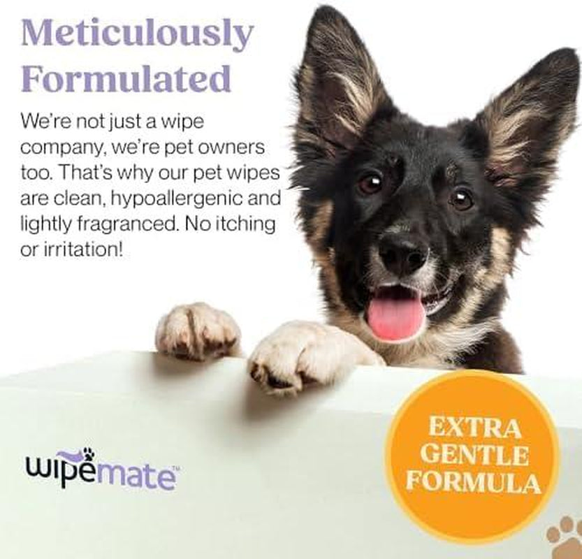 Wipemate Lavender XL Pet Wipes for Medium to Large Dogs & Cats, No-Rinse Solution, Hypoallergenic, Gentle, Deodorizing - Pet Wipes for Cleans Paws, Ears, Fur, Butt, & Anal Glands (100 Count)