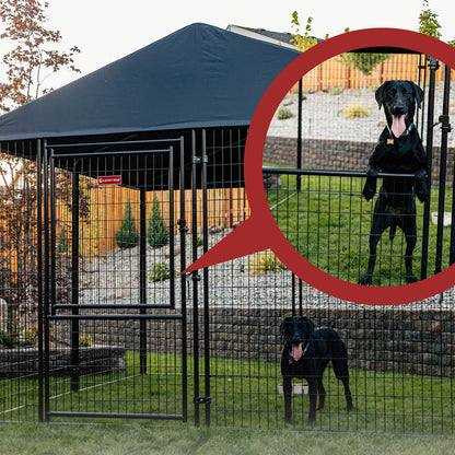 STAY Series Presidential Dog Kennel 10'X10' with Privacy Screen