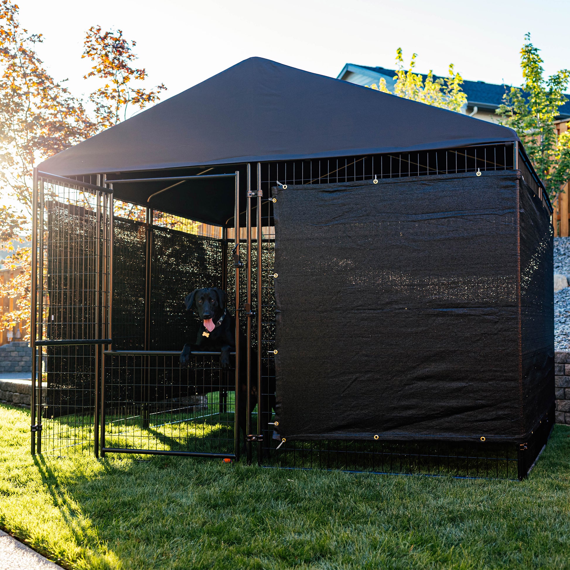 STAY Series Presidential Dog Kennel 10'X10' with Privacy Screen