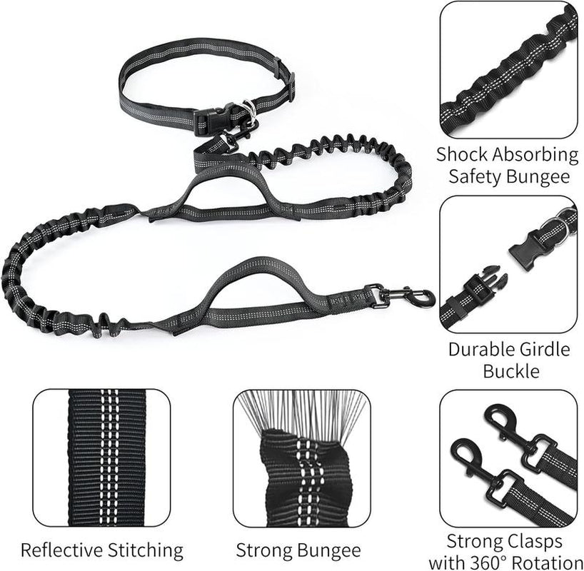 Hands-Free Dog Leash with Zipper Pouch–Retractable Bungee Waist Leash with Dual Padded Handles and Fanny Pack for Training, Walking, Running, and Hiking with Medium to Large Dogs