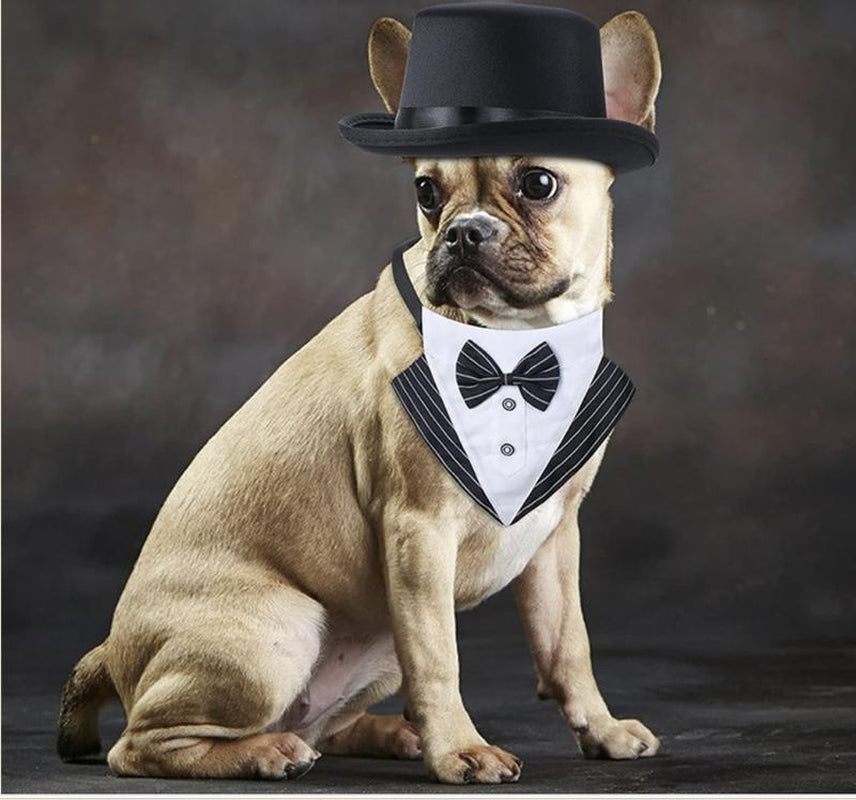 Pet Tuxedo Costume with Bow Tie & Hat – Formal Suit for Dogs & Cats – Wedding, Party & Special Occasions